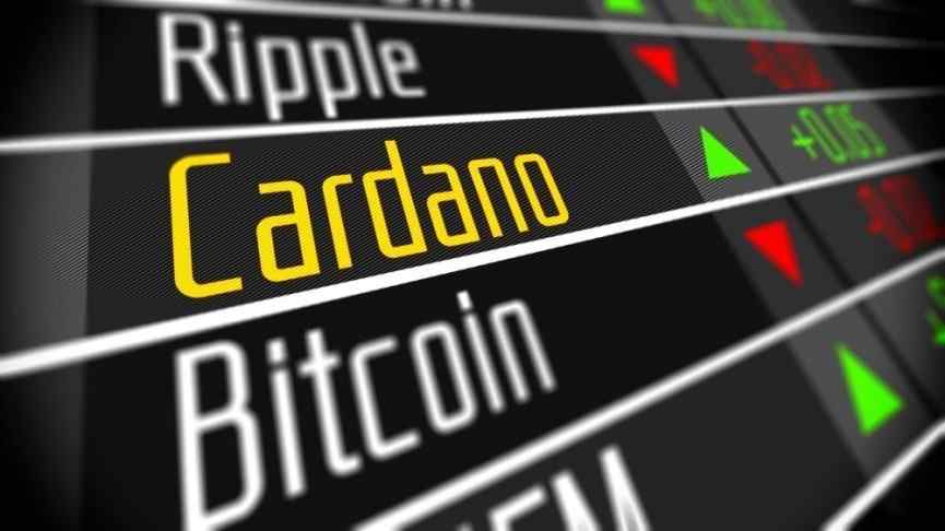 Cardano Developers